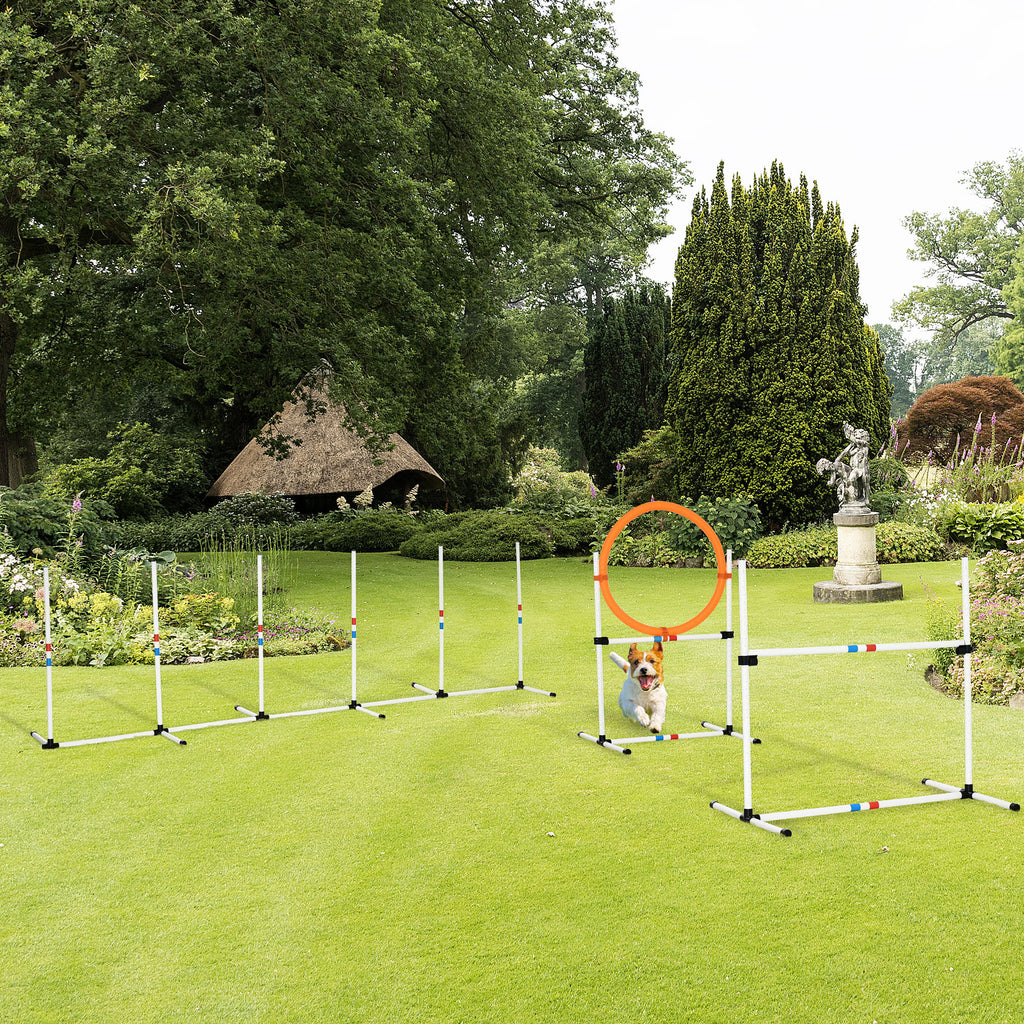 PawHut 3-tlg. Hunde Agility Set Training für Haustiere Hundetrainigsset Inklusive Tasche Leicht zu tragen Kunststoff Weiß+Gelb