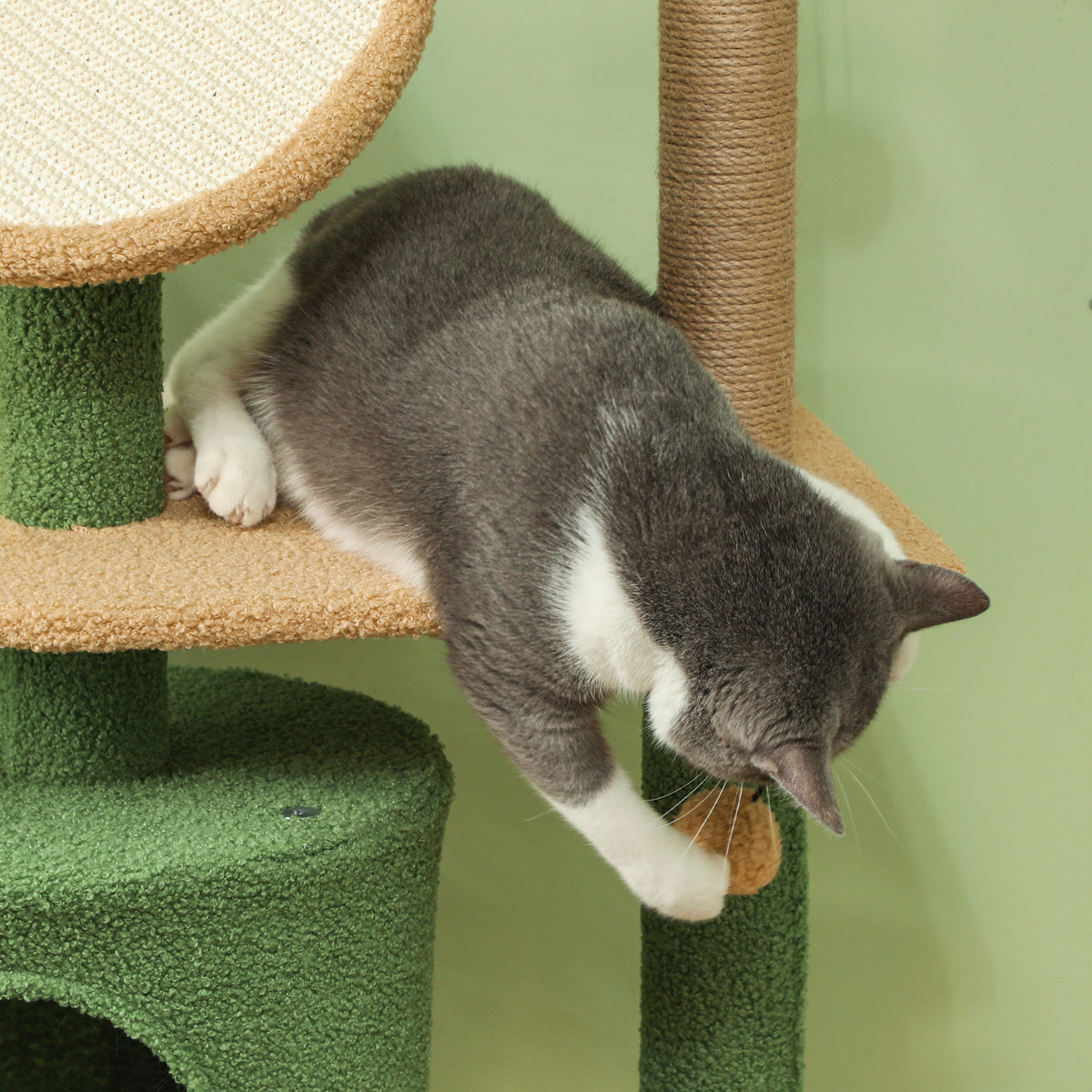 PawHut Kratzbaum, 139 cm Katzenbaum mit Höhle, Spielbällen, Sisal-Kratzpfosten und Plattformen, für zwei Katzen, Grün